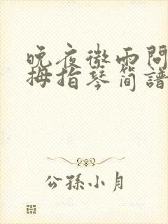 晚夜微雨问海棠拇指琴简谱