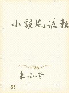 小说风流教师