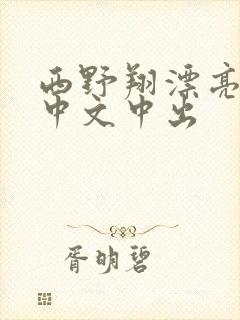 西野翔漂亮人妻中文中出