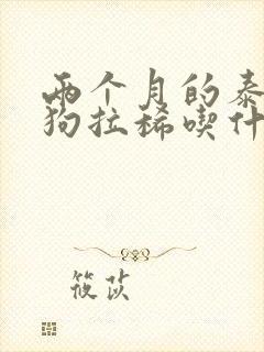 两个月的泰迪狗狗拉稀吃什么药