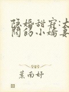 隐婚甜宠:大财阀的小娇妻封面