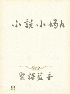 小说小妈h封面