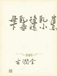 母乳后乳房干瘪下垂还小怎么办