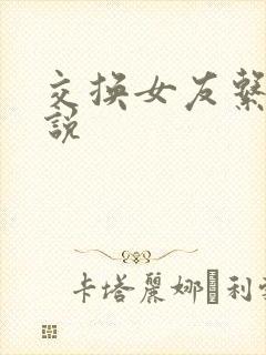 交换女友系列小说