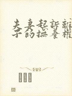 夫妻起诉离婚孩子的抚养权怎么争取