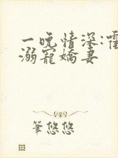 一晚情深:霍少溺宠娇妻