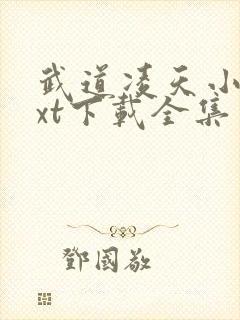 武道凌天小说txt下载全集