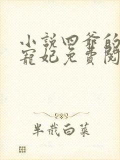 小说四爷的心尖宠妃免费阅读封面