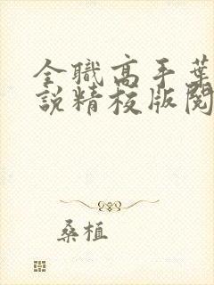 全职高手叶修小说精校版阅读封面