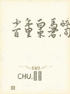 少年白马醉春风百里东君,司空长风完整版