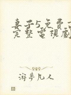 妻子5免费高清完整电视剧情年轻母亲