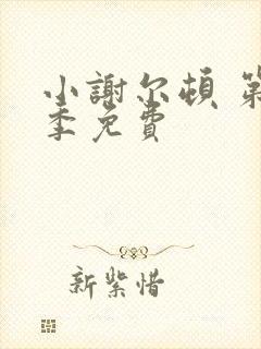 小谢尔顿 第一季免费