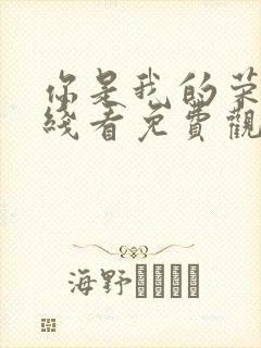 你是我的荣耀在线看免费观看