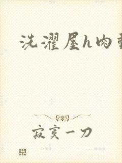洗濯屋h肉动漫