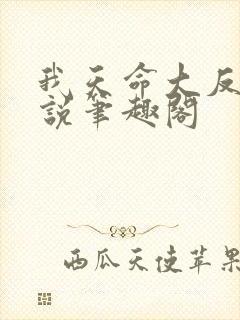 我天命大反派小说笔趣阁封面