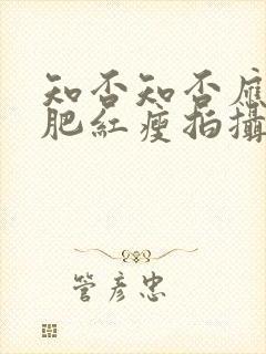 知否知否应是绿肥红瘦拍摄时间