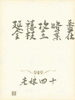 延禧攻略番外篇金枝玉叶在哪里看