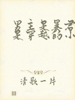 男主是暴君女主是穿越的小说封面