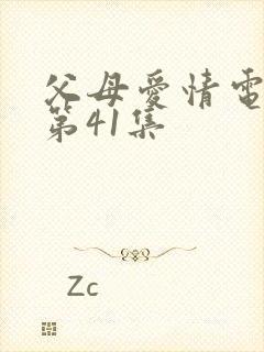 父母爱情电视剧第41集