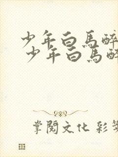 少年白马醉春风 少年白马醉春风封面