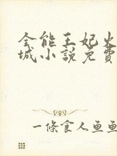 全能王妃火爆京城小说免费看