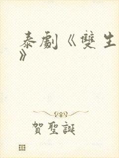 泰剧《双生对决》