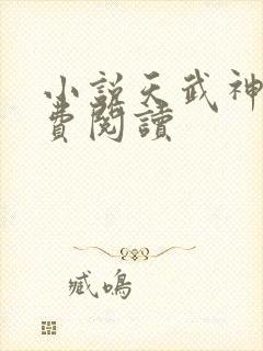 小说天武神帝免费阅读封面