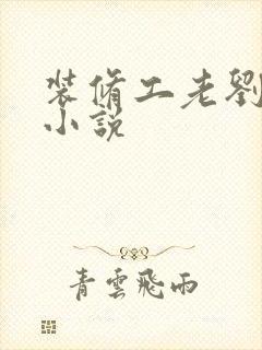 装修工老刘林雪小说