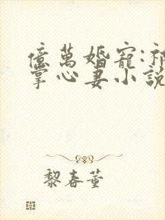 亿万婚宠:祁少掌心妻小说