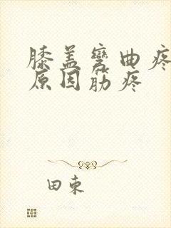 膝盖弯曲疼痛的原因筋疼封面