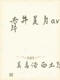 赤井美月av大片