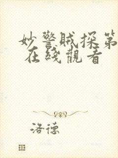 妙警贼探第六季 在线观看