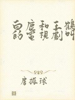 白鹿和王鹤棣演的电视剧叫什么