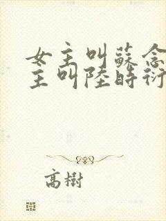 女主叫苏念晚男主叫陆时衍