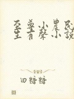 至尊小农民王木生有声小说全集收听免费听