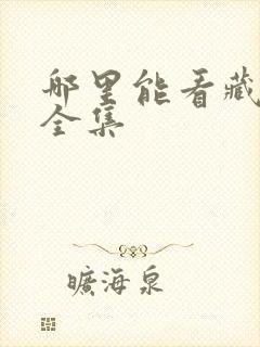 哪里能看藏海传全集