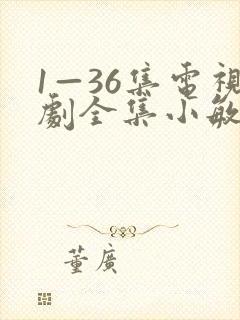 1—36集电视剧全集小敏家