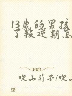 13岁的男孩到了叛逆期怎么教