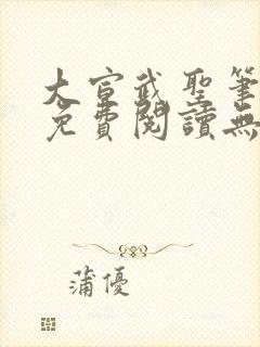 大宣武圣笔趣阁免费阅读无弹窗