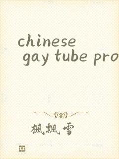 chinese gay tube pron