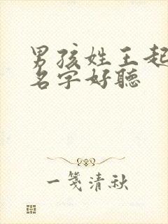 男孩姓王起什么名字好听