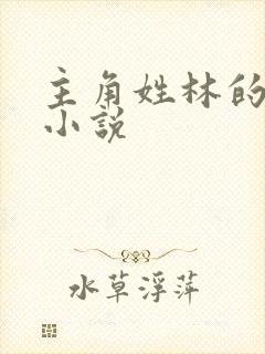 主角姓林的玄幻小说