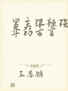 男主狠辣强取豪夺的古言