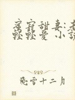 蜜宠甜妻:老公轻轻爱 小说