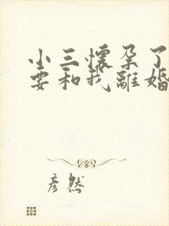 小三怀孕了老公要和我离婚我该怎么办封面