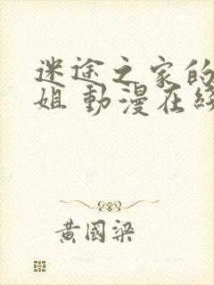 迷途之家的大姐姐 动漫在线看