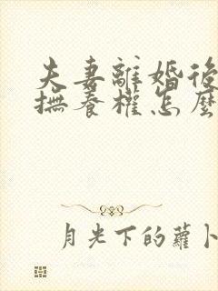 夫妻离婚后孩子抚养权怎么判