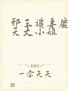 邪王追妻废柴逆天大小姐封面