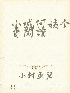 小城何姨全文免费阅读