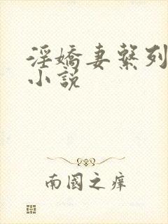 淫娇妻系列多人小说封面